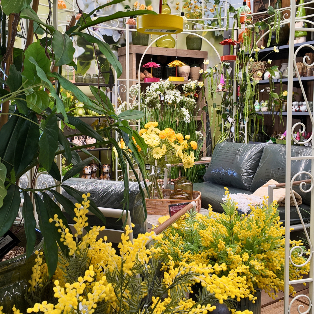 Benvinguda primavera: Una explosió de color al nostre Garden!